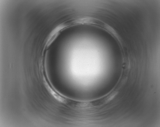 X0000082721434200701261207