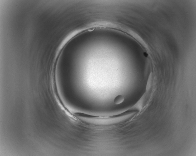 X0000082721440200701261208