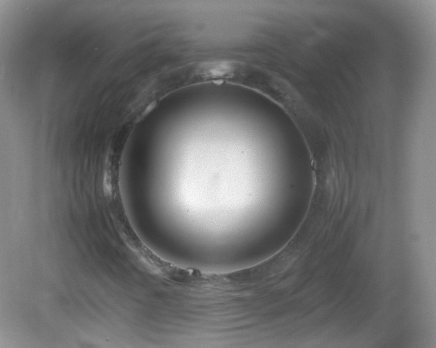 X0000082721442200701261207