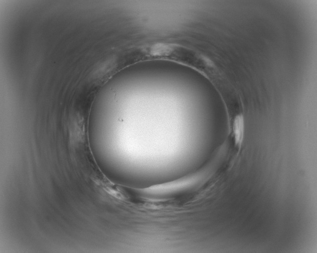 X0000082721443200701261207