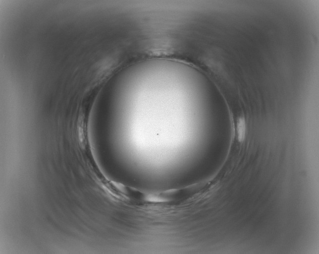 X0000082721444200701261207