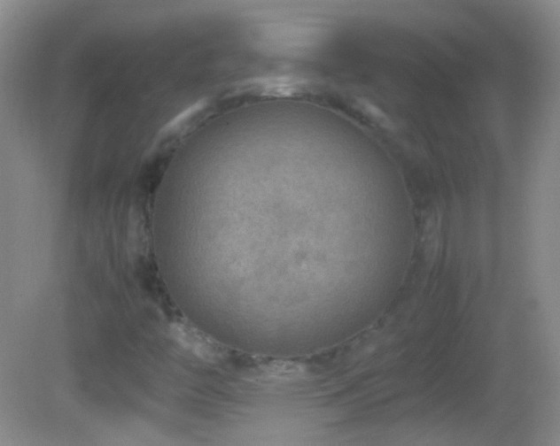 X0000082721446200701261207