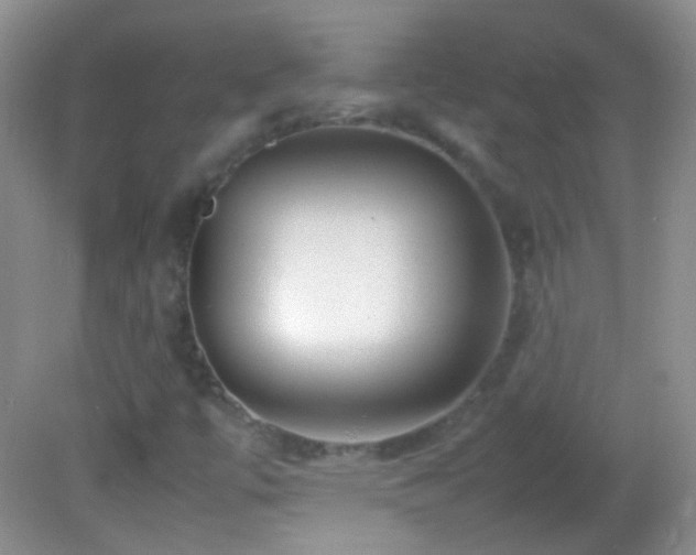X0000082721447200701261207