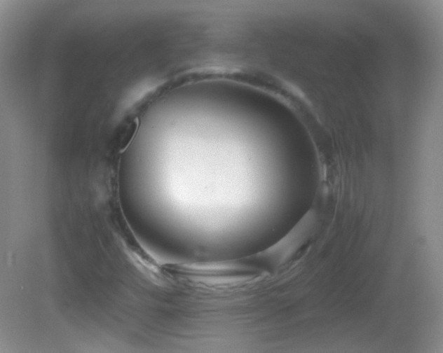 X0000082721448200701261207