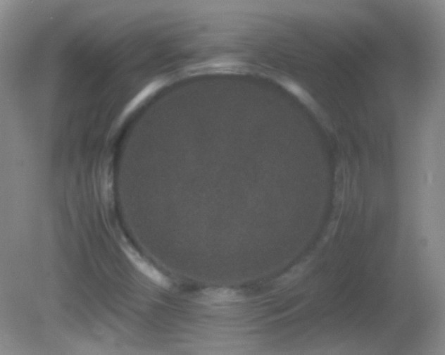 X0000082721450200701261207