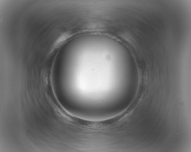 X0000082721451200701261207
