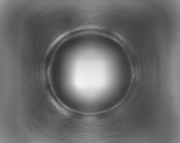 X0000082721452200701261207