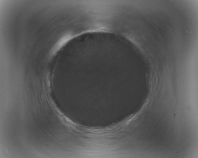 X0000082721455200701261206