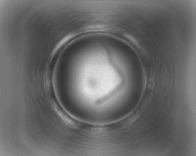 X0000082721458200701261206