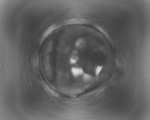 X0000082721459200701261206