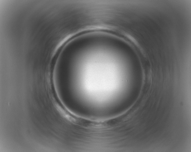 X0000082721460200701261206