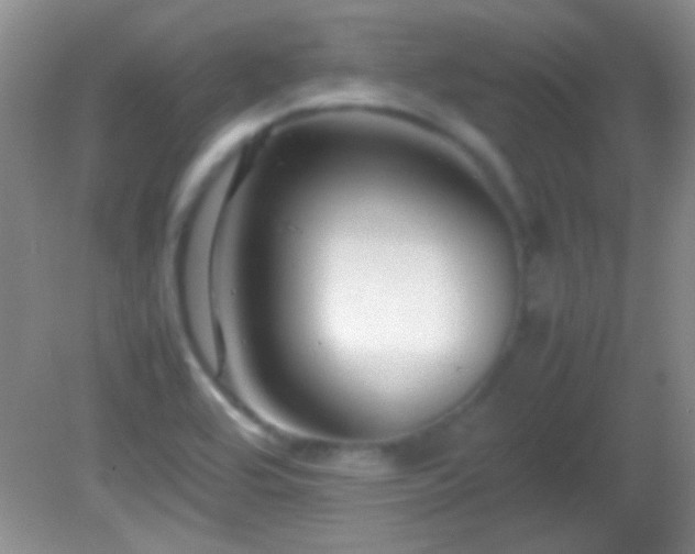 X0000082721464200701261206
