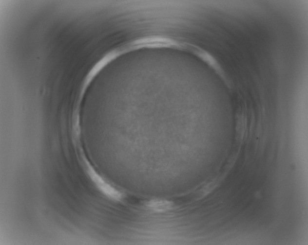X0000082721466200701261206