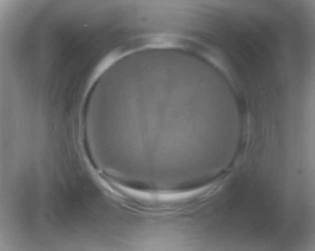 X0000082721467200701261206
