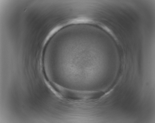 X0000082721469200701261206