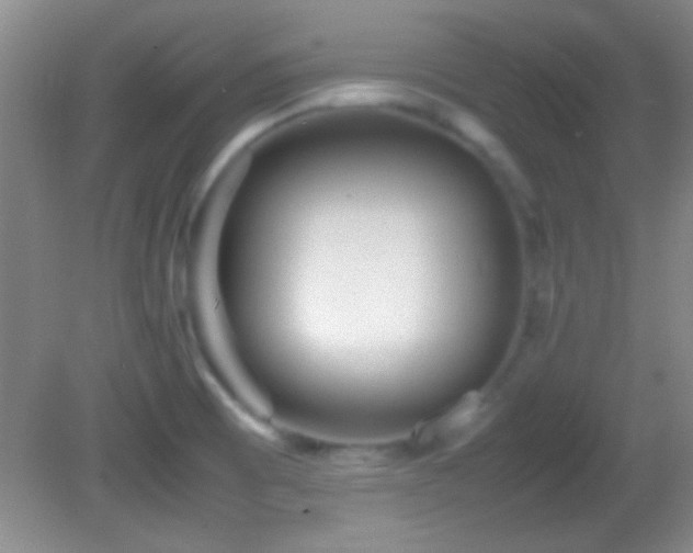 X0000082721473200701261206