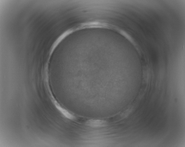 X0000082721474200701261206