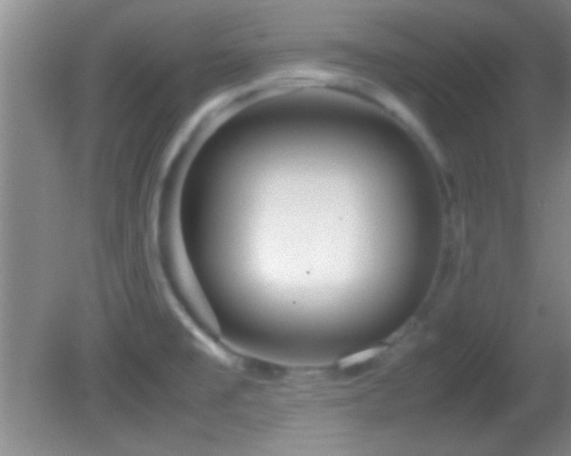 X0000082721477200701261206