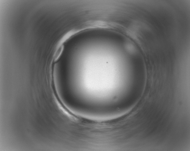 X0000082721479200701261206
