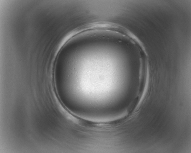 X0000082721483200701261206