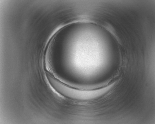 X0000082721484200701261206