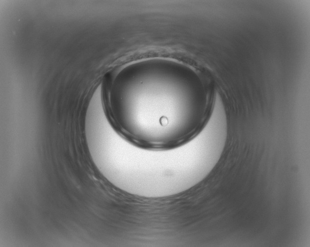 X0000082721492200701261205