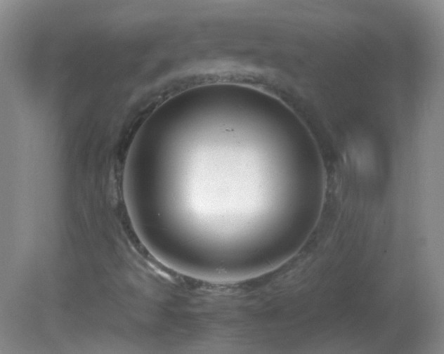 X0000082721493200701261205