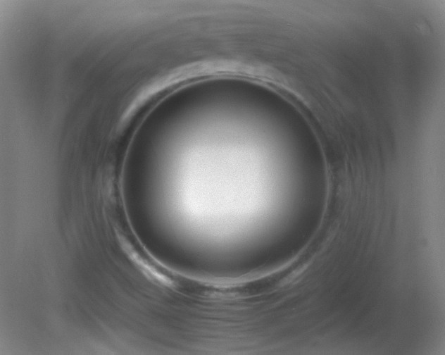 X0000082721499200701261205