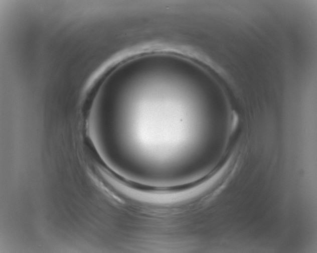 X0000082721502200701261205