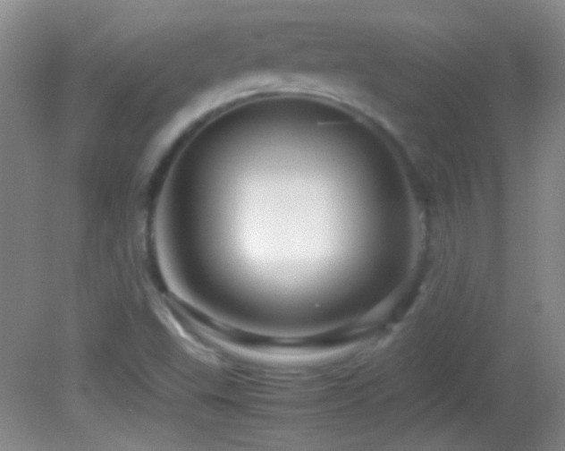 X0000082721503200701261205