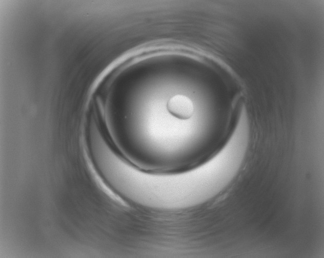 X0000082721518200701261206