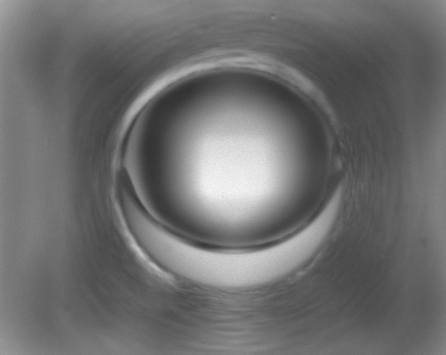 X0000082721520200701261206