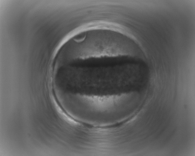 X0000082721522200701261206