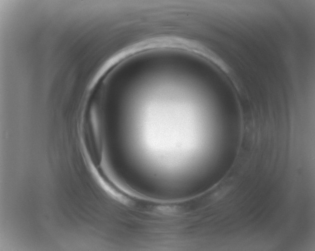 X0000082721523200701261206