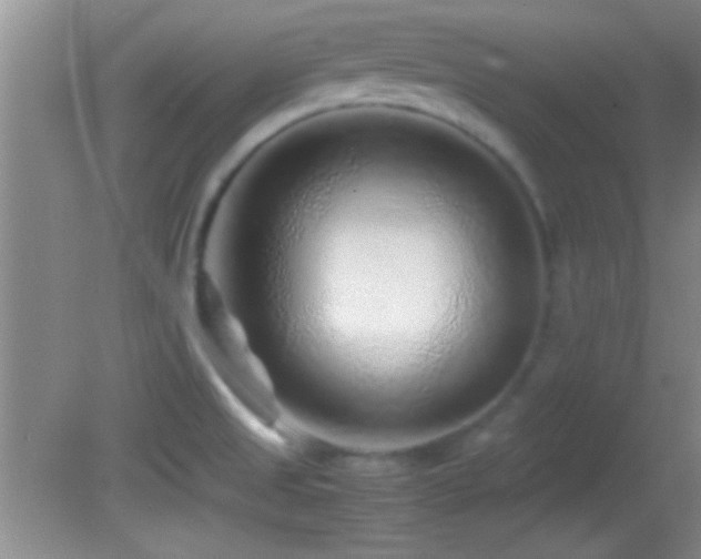 X0000082721525200701261206