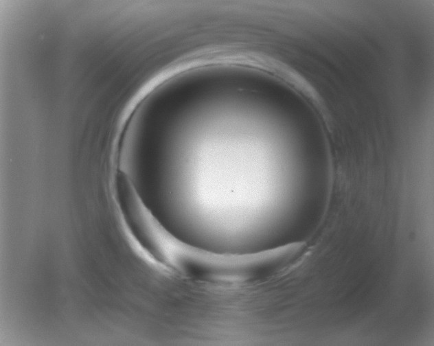 X0000082721528200701261206
