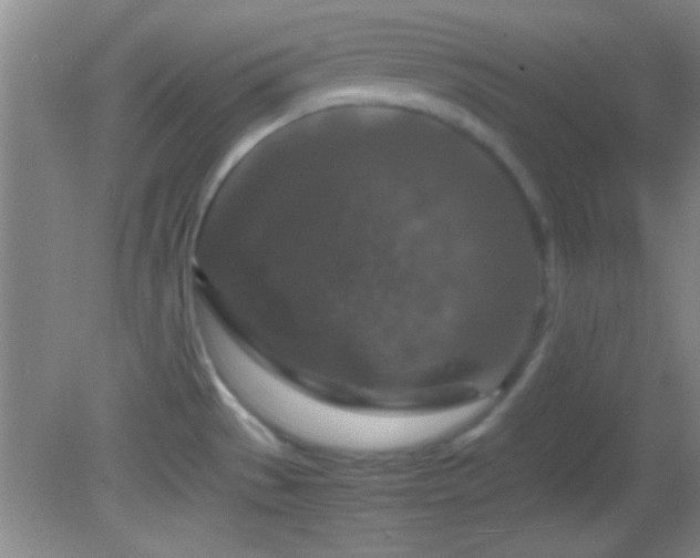 X0000082721529200701261206