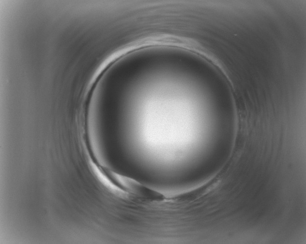 X0000082721531200701261206