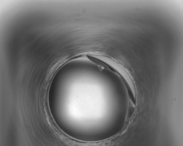 X0000082720001200702021457