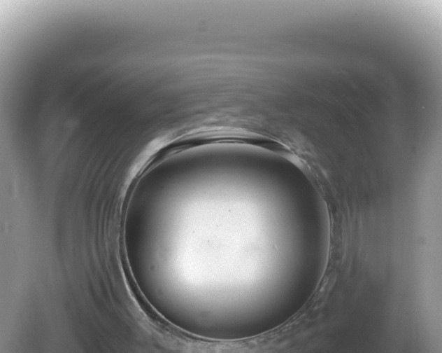 X0000082720003200702021457