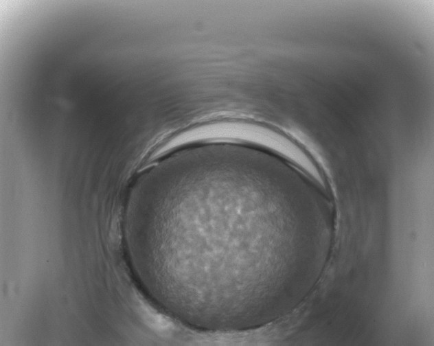 X0000082720009200702021457