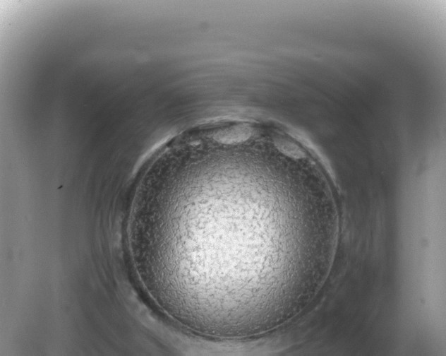 X0000082720010200702021457