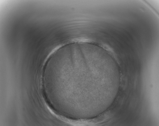 X0000082720012200702021457