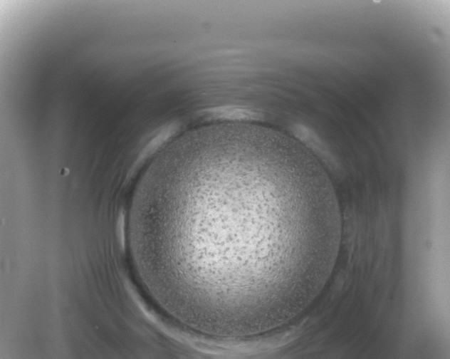 X0000082720014200702021457