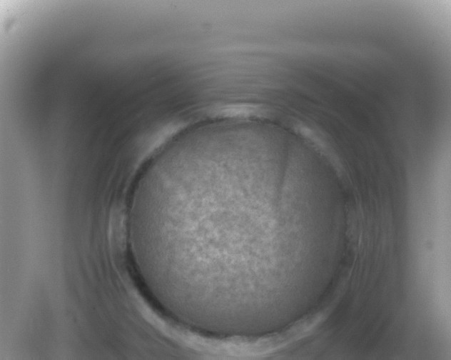 X0000082720016200702021457