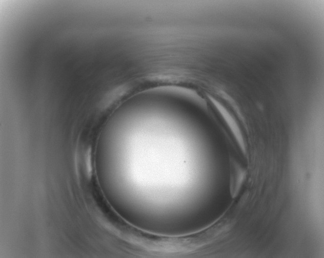 X0000082720020200702021457