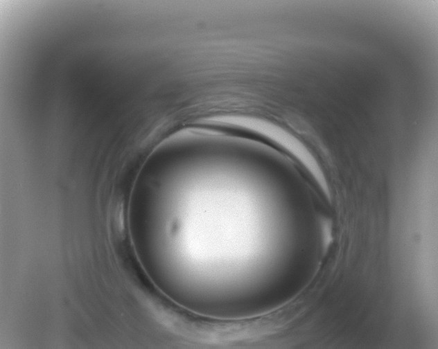 X0000082720021200702021457