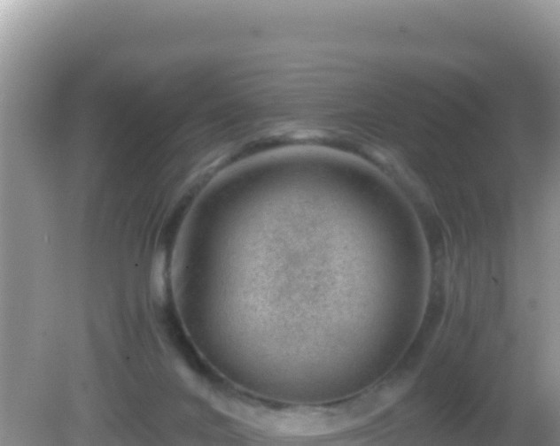 X0000082720024200702021457