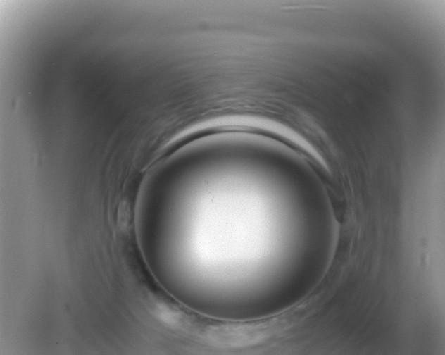 X0000082720025200702021457