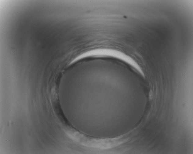 X0000082720029200702021456